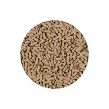 Alimento en sticks para peces carpa - Acuario  Acuaworld