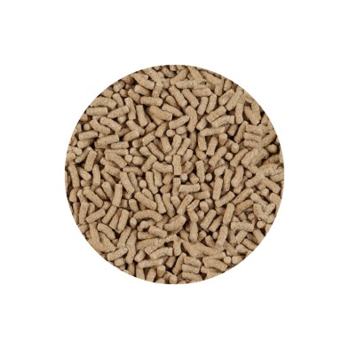 Alimento en sticks para peces carpa - Acuario  Acuaworld