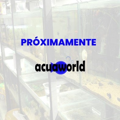Vinilo blanco  adhesivo para acuarios - Acuario Acuaworld
