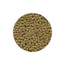 Comida Alimento para peces de fondo BottomFish - Acuario Acuaworld