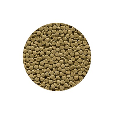 Alimento para peces de fondo BottomFish 50gr - Acuario Acuaworld