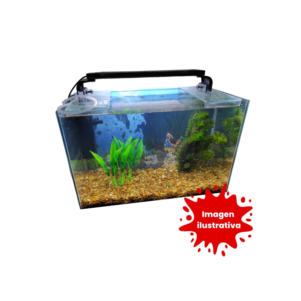 Pecera completa de 60 litros - Acuario Acuaworld.