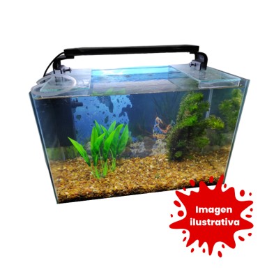 Pecera completa de 60 litros - Acuario Acuaworld.
