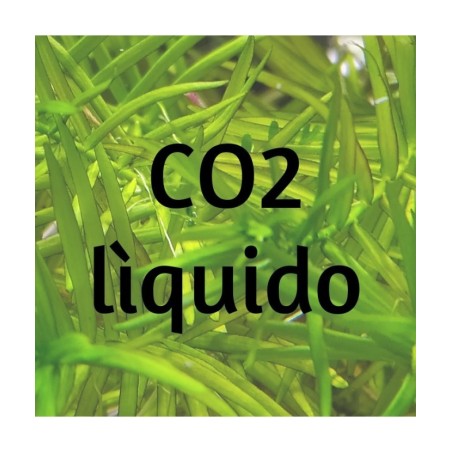 co2 para acuario con plantas - Acuario Acuaworld