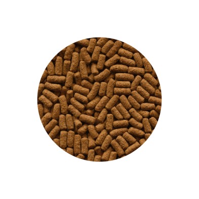 Alimento Carnívoro para cíclidos grandes Labcon 90gr