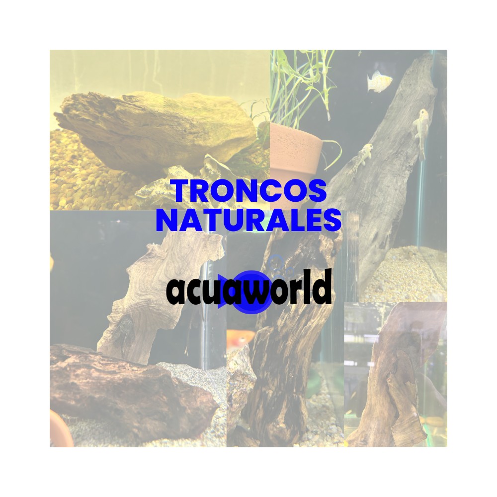 Tronco natural para pecera chico - Acuario Acuaworld