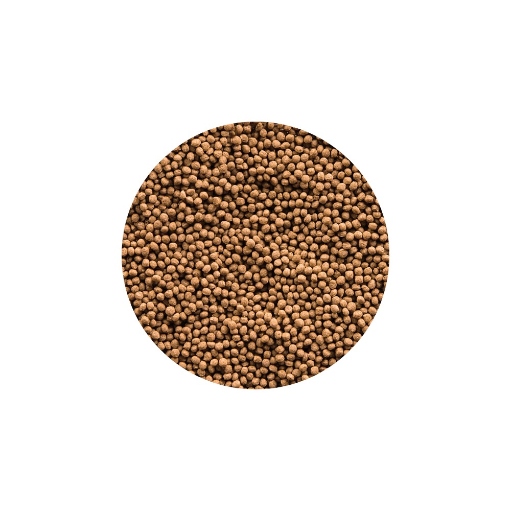 Comida Alimento para potenciar crecimiento de los peces - Acuario Acuaworld