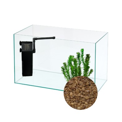 Pecera completa de 60 litros para Carassius - Acuario Acuaworld