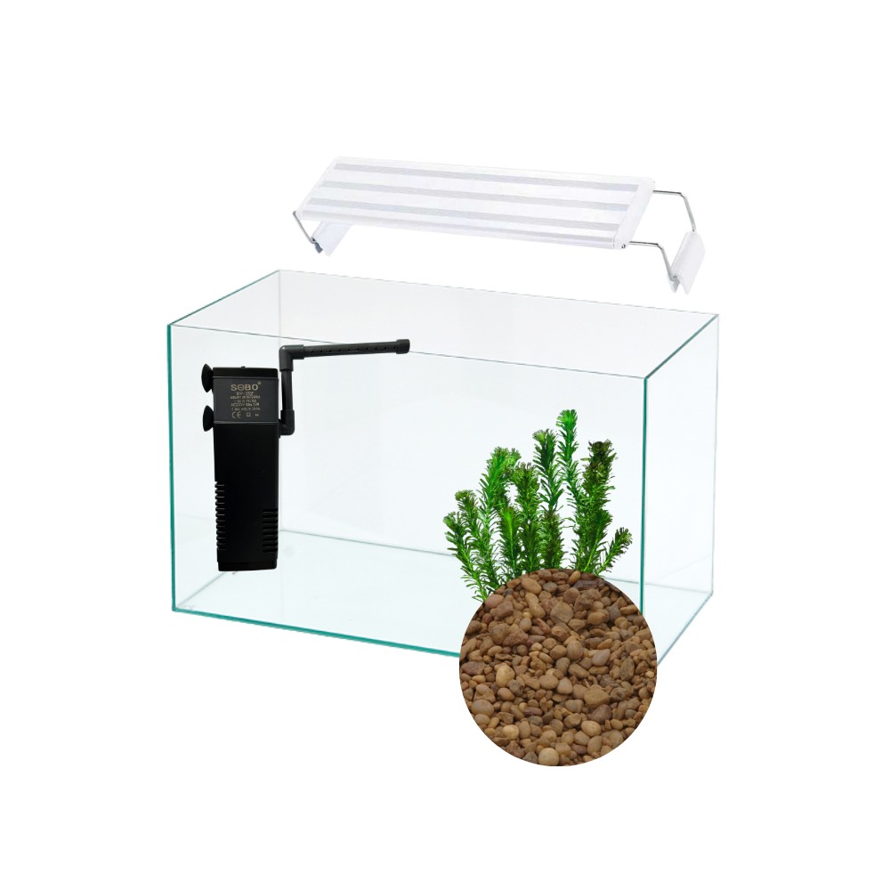 Pecera completa de 60 L para Carassius con Luz - Acuario Acuaworld