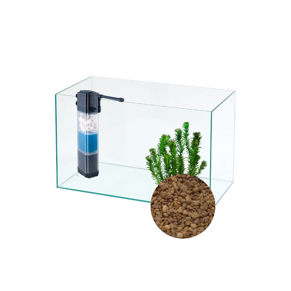 Pack / Kit Pecera COMPLETA 96L para Carassius - Acuaworld