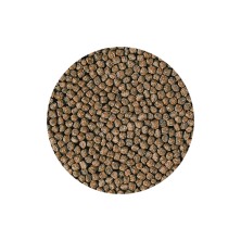 Alimento Hikari comida para peces de agua fría - Acuario Acuaworld