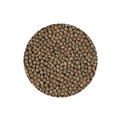 Alimento Hikari comida para peces de agua fría - Acuario Acuaworld