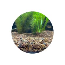 Sustrato nutritivo Flourite Red Seachem - Acuario Acuaworld