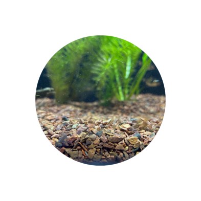 Sustrato nutritivo Flourite Red Seachem - Acuario Acuaworld