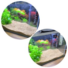 Acuario Pecera COMPLETA 24 litros tropical - Acuaworld