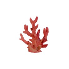 Coral Rosado mini - decoración