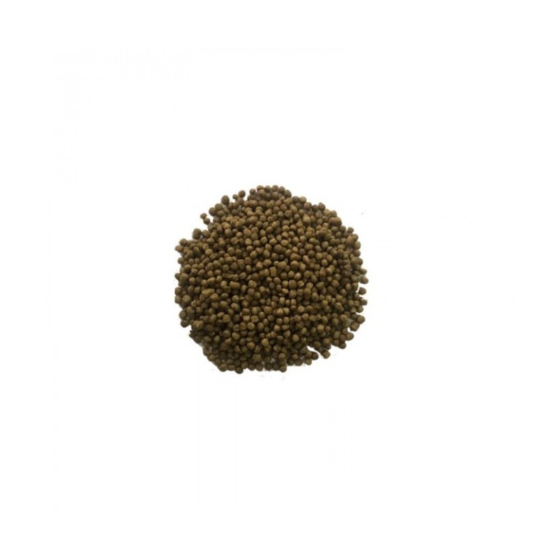 Comida Alimento 1 kg granulado económico para peces