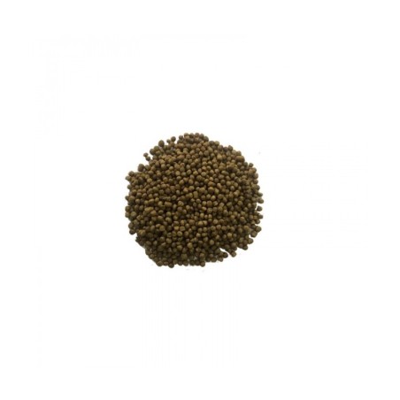 Comida Alimento 1 kg granulado económico para peces