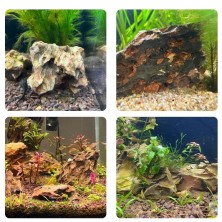 Roca dragón 2 a 3kg decoración natural - Acuario Acuaworld