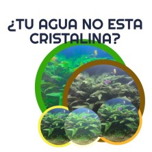 Guía rápida para mejorar el agua de tu acuario – Acuaworld