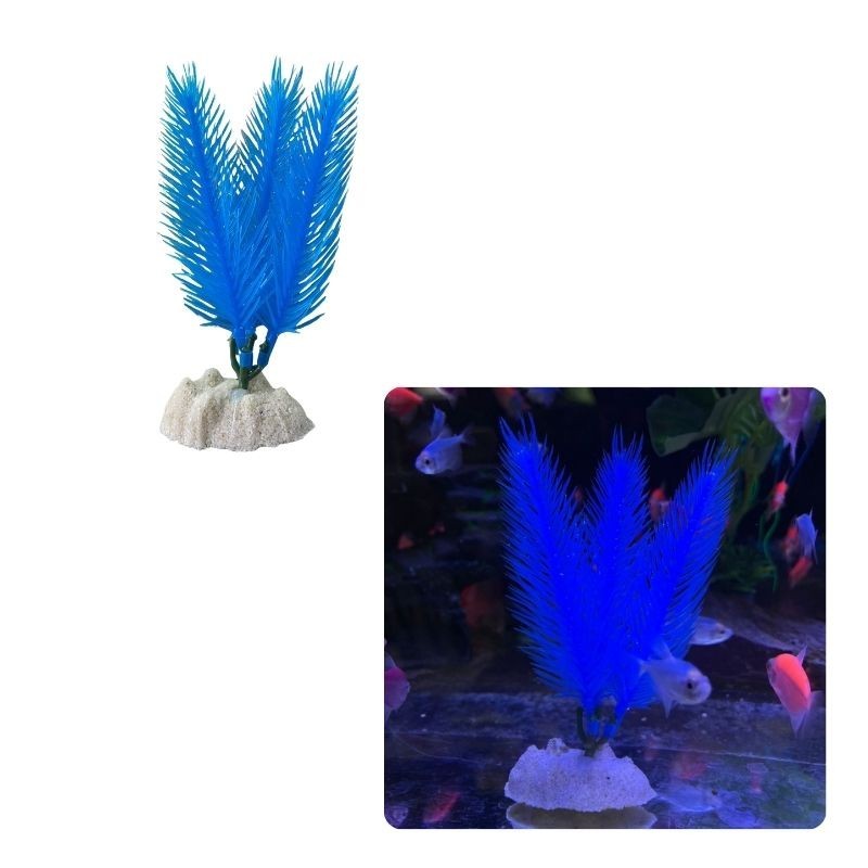 Decoración planta fluor economica - Acuario Acuaworld
