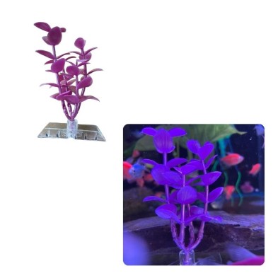 Decoración planta fluor economica - Acuario Acuaworld