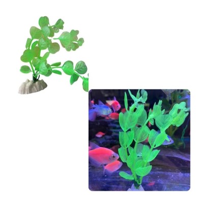 Decoración planta fluor economica - Acuario Acuaworld