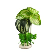 Decoración Adorno planta artificial Alocasia S - Acuaworld
