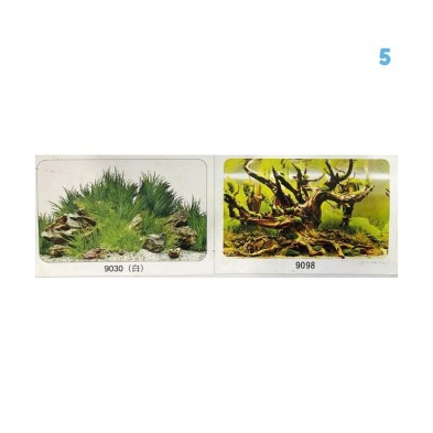 Lámina decorativa para peceras - Acuario Acuaworld