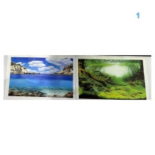 Lámina decorativa para peceras - Acuario Acuaworld