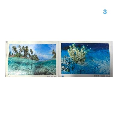Lámina decorativa para peceras - Acuario Acuaworld Lámina decorativa para peceras - Acuario Acuaworld