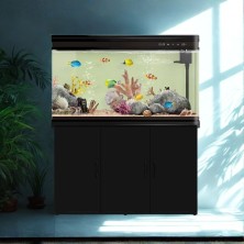 Pecera Completa Importada con Mueble GRANDE - 223 litros