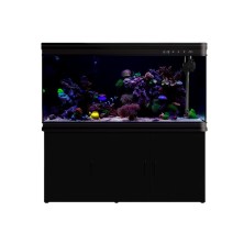 Pecera Completa Importada con Mueble GRANDE - 323 litros