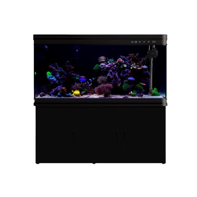 Pecera Completa Importada con Mueble GRANDE - 323 litros