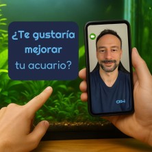 Consultoría Online Básica de Acuarios | Videollamada 20 min
