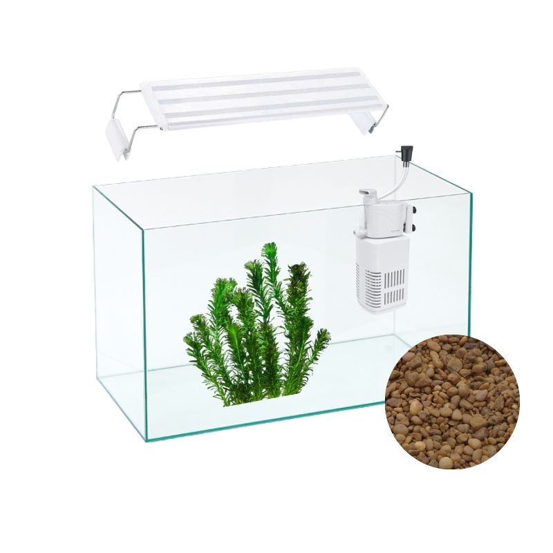 Pecera 40 litros completa para peces !