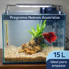 Armá tu acuario paso a paso