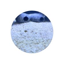 Sustrato Pearl Beach 3,5kg para acuario Marino | Seachem