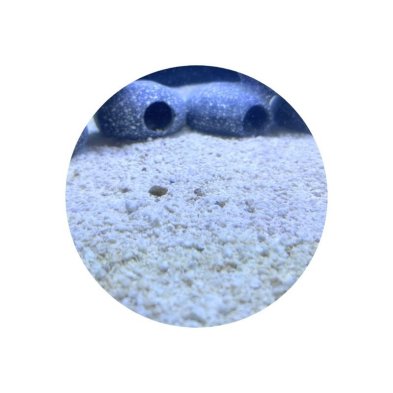 Sustrato Pearl Beach 3,5kg para acuario Marino | Seachem
