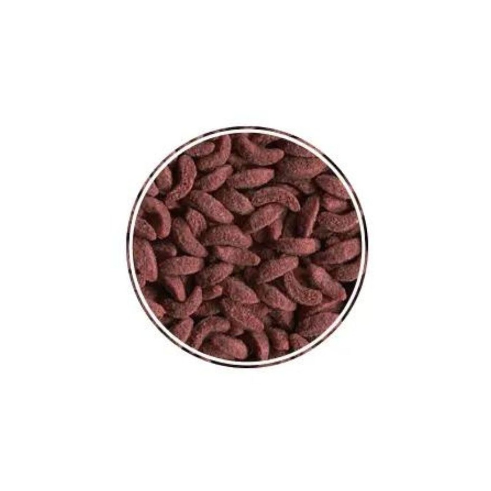 Comida Alimento premium para peces carnívoros 400gr