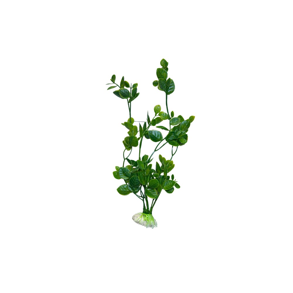 Decoración planta colores variados - Acuario Acuaworld