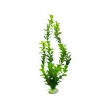 Decoración planta colores variados - Acuario Acuaworld