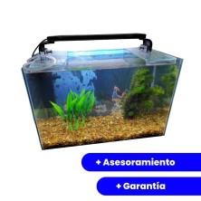 Pecera COMPLETA 40L