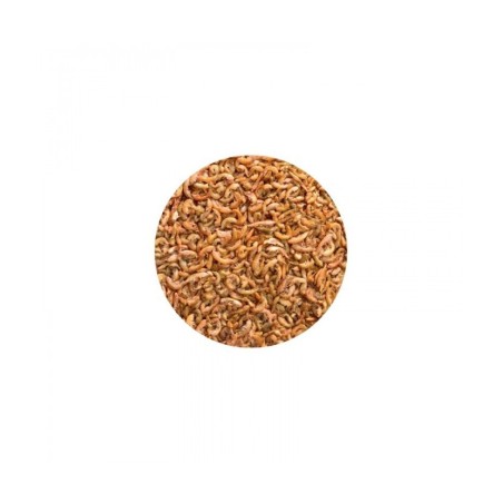 Alimento Gammarus para Tortugas - Acuario Acuaworld Alimento Gammarus para Tortugas - Acuario Acuaworld