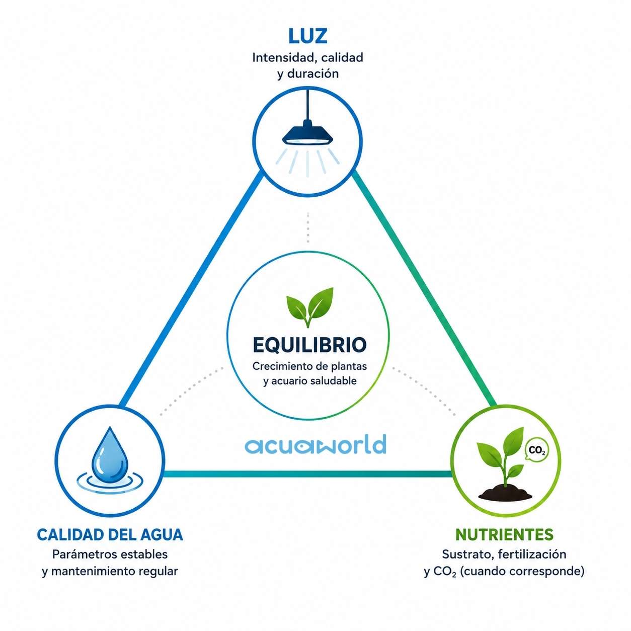 Triángulo del Crecimiento de Acuaworld: equilibrio entre luz, calidad del agua y nutrientes en un acuario plantado.