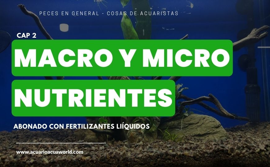 El abonado de MACRO y micro Nutrientes para un Acuario Plantado