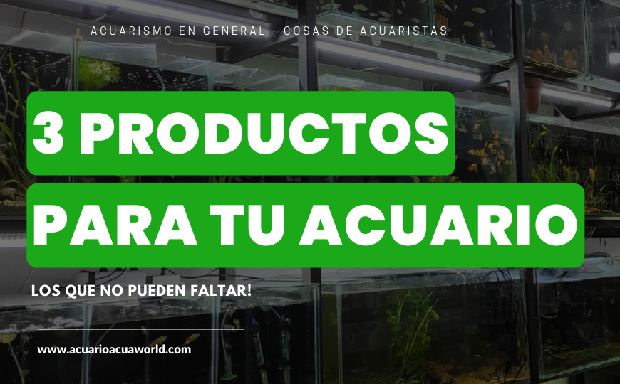3 productos que no pueden faltar en tu acuario