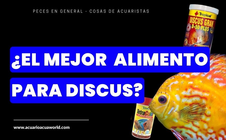 ¿Los mejores alimentos para peces Disco? Comparativa TetraColor Granules VS Discus Grand D50