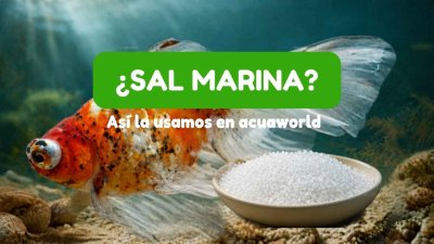 ¿Sabés por qué se usa sal marina en peces de agua dulce?