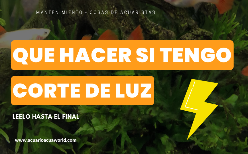 3 TIPS sobre que hacer si me quedo sin electricidad ! 